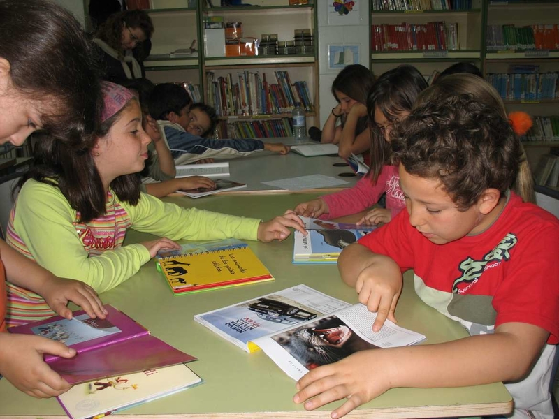 Educación convoca la selección de proyectos de innovación para potenciar las bibliotecas escolares de los centros educativos