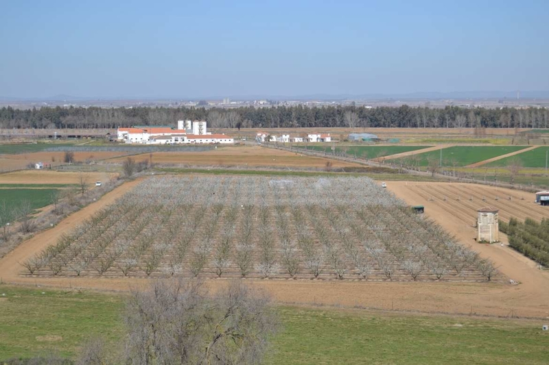 Cicytex organiza una jornada de campo para mostrar ensayos de cultivos hortícolas