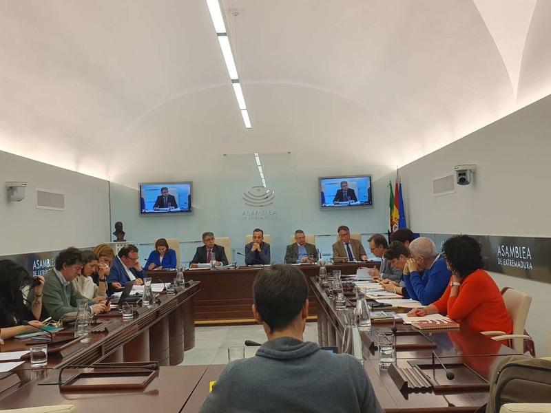 La Junta de Extremadura apuesta por un nuevo 'Plan Integral para el Comercio de Proximidad'