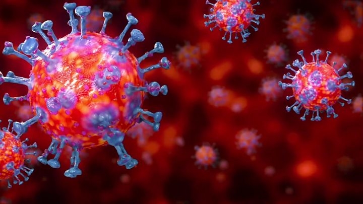 Extremadura registra 100 fallecidos por coronavirus, 1.456 positivos confirmados y 51 pacientes curados