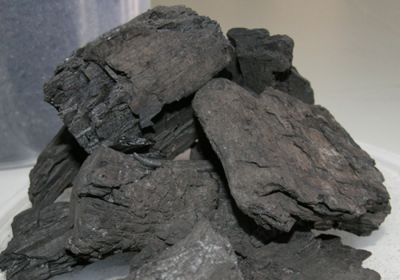 CICYTEX asume la presidencia del Comité Técnico de Normalización del Sector del Carbón Vegetal