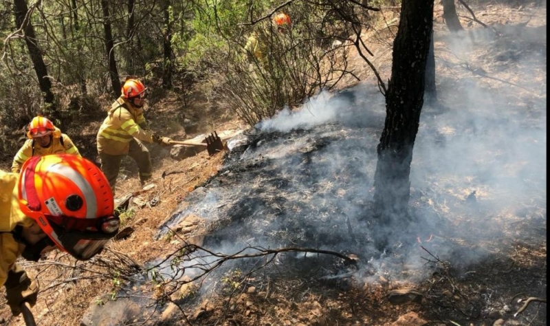 El fuego arrasa 700 hectáreas en 23 incendios forestales durante la pasada semana