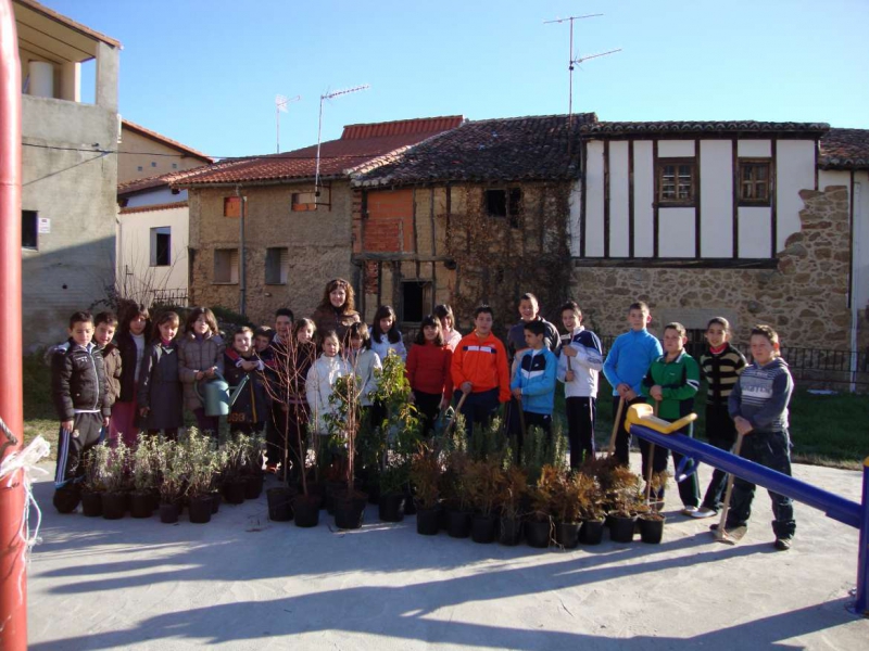 Educación publica la convocatoria para la realización de proyectos de reforestación del entorno escolar dirigida a los centros