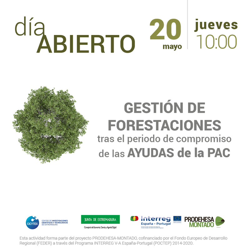 ICMC-CICYTEX organiza un seminario web dedicado a la gestión de forestaciones de tierras agrarias