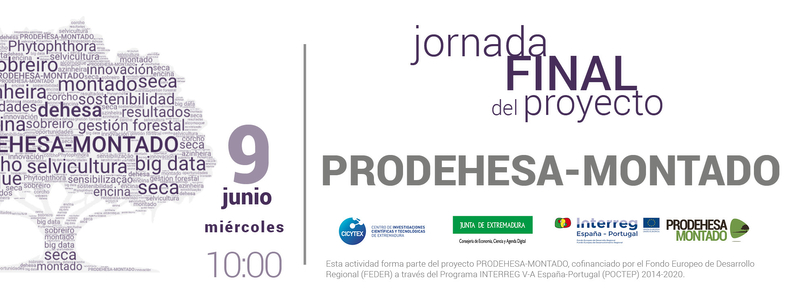 El proyecto PRODEHESA-MONTADO concluye con una jornada final para la divulgación de resultados