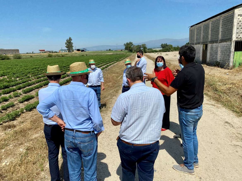 Begoña García visita las instalaciones de Biostevera en Villanueva de la Vera