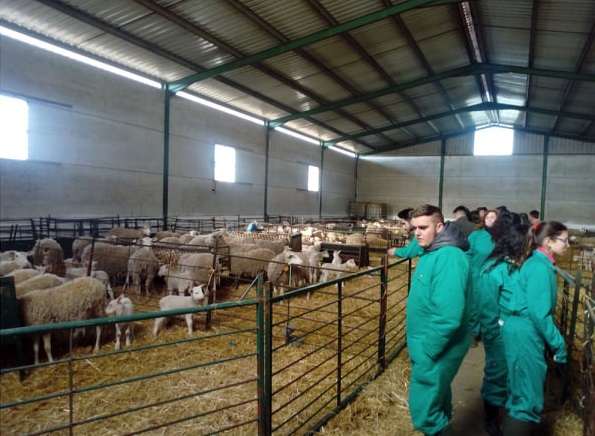 El Centro de Formación del Medio Rural de Moraleja oferta tres ciclos de FP en ganadería y sector agropecuario