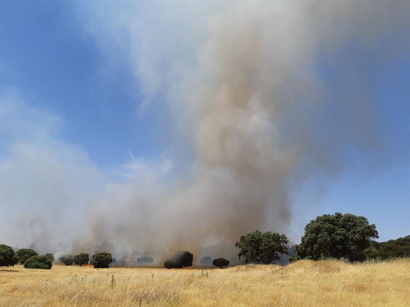 El Infoex participa durante esta semana en 37 incendios forestales en los que han ardido 580 hectáreas