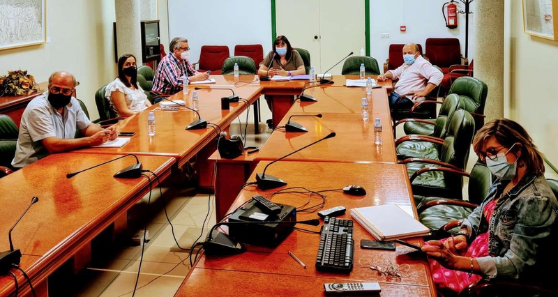 Begoña García traslada al Consejo Asesor Agrario de Extremadura el documento base del plan estratégico de la PAC