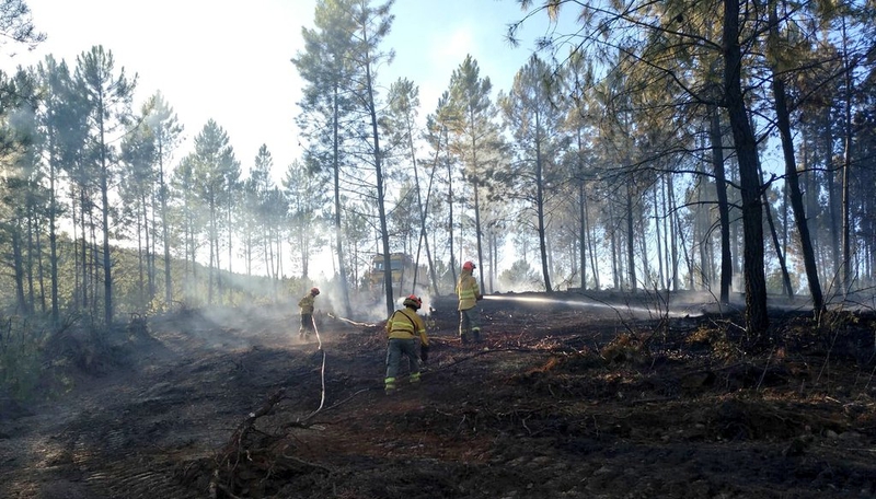 La campaña de peligro alto de incendios en Extremadura finaliza con 5.227 hectáreas afectadas, un 25 por ciento menos que en el verano anterior