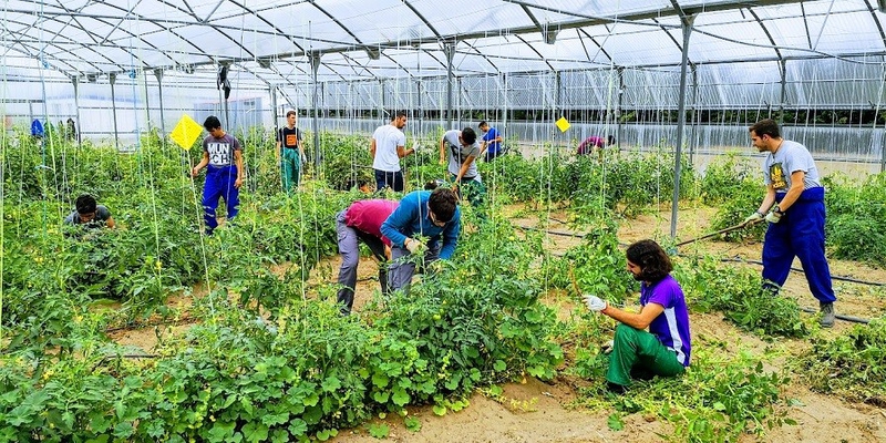 La Junta de Extremadura abona 1,25 millones de euros a 72 proyectos de incorporación de jóvenes agricultores