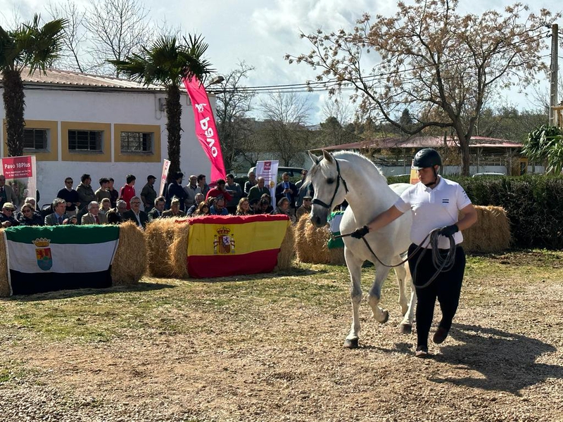 El director de Agricultura y Ganadería asiste a la presentación de la parada de sementales del CENSYRA 2023