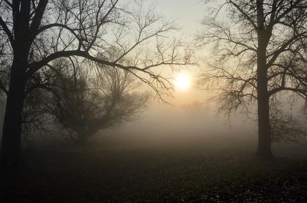 El centro 112 Extremadura activa la alerta amarilla por niebla para mañana viernes