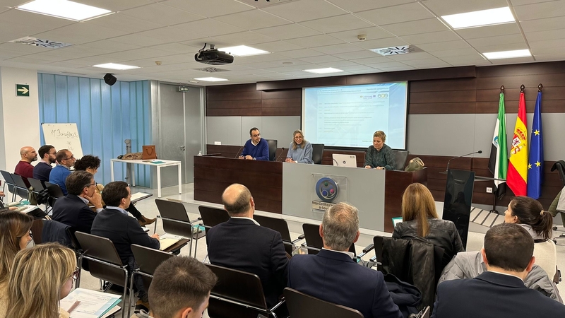 La Junta destaca que facilitar herramientas para contribuir a generar comunidades energéticas está en su hoja de ruta