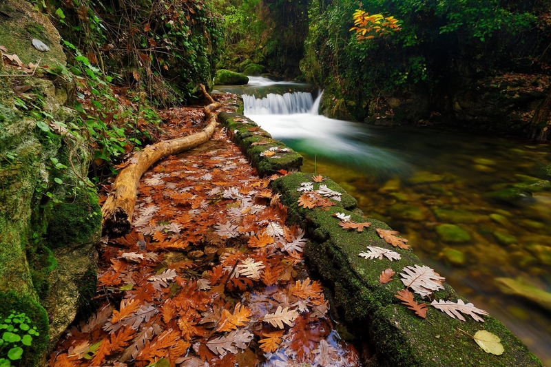 El Otoño Mágico del Valle del Ambroz, declarada Fiesta de Interés Turístico Internacional