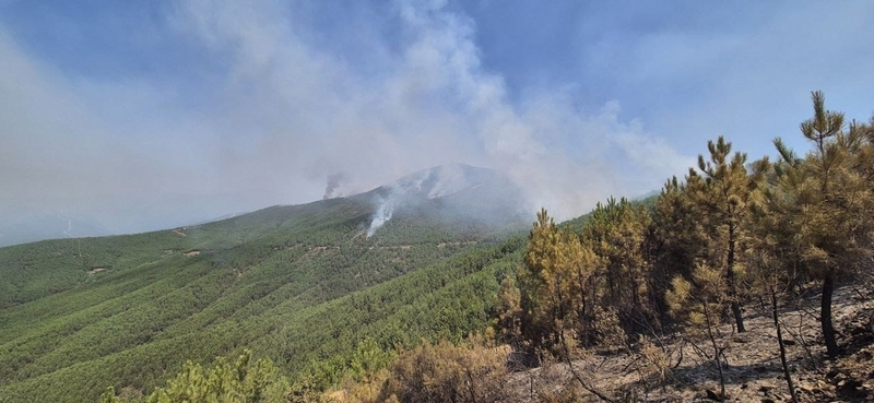 Las autoridades descartan 'en este momento' nuevas evacuaciones por el incendio de Las Hurdes