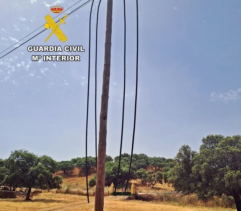 Desarticulado un grupo acusado del robo de ganado en Baterno y de 8.400 metros de cable de líneas telefónicas