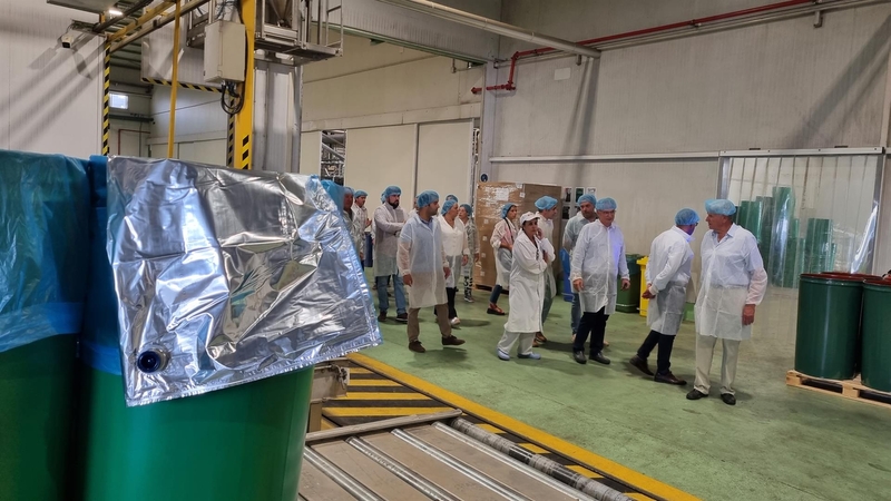 Quintana destaca la importancia del tomate para Extremadura, cuya campaña de recolección arranca con buenas previsiones