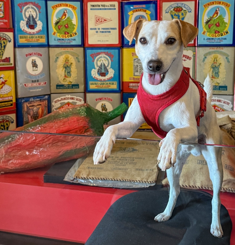Una nueva guía turística recogerá la oferta de Extremadura para familias que viajan con su perro
