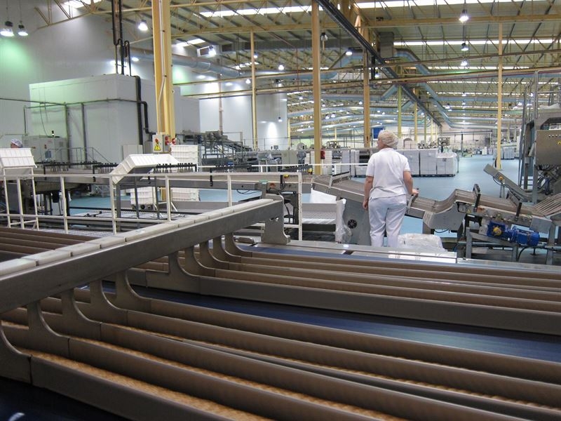 Los precios industriales suben un 0,3 por ciento en julio en Extremadura
