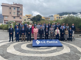 Miguel Ángel Gallardo asiste en La Palma a la Comisión de Diputaciones, Cabildos y Consejos Insulares de la FEMP