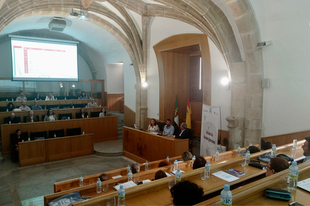 La Diputación de Cáceres acoge la Unidad de Asuntos Europeos, creada por la Fempex y las diputaciones de Cáceres y Badajoz
