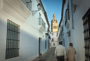 La Conferencia Sectorial de Turismo aprueba el Plan de Sostenibilidad Turstica Campia Sur