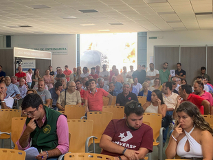 La Diputacin de Badajoz ha participado en la subasta nacional de raza merina de la 38 edicin del Saln Ovino de Castuera