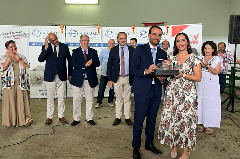 El Merino Precoz de la Diputacin de Cceres Premio a la Mejor Ganadera en la Feria Internacional de Zafra