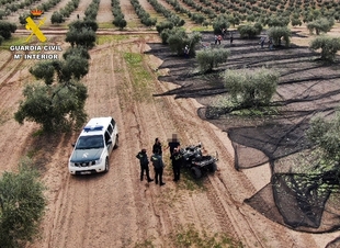 Dos investigados por tener a 14 trabajadores sin contrato en una explotación agrícola en Fuente del Maestre
