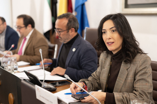 La Diputación aprueba en pleno más de 1,5 millones de euros destinados a los municipios de la provincia
