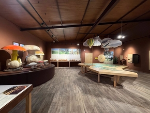 El Museo Micológico abre sus puertas en Villanueva del Fresno