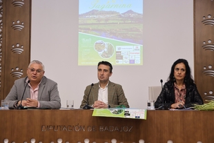 Alconchel dedica la Feria del Espárrago y la Tagarnina a la unión gastronómica con Portugal, Croacia o España