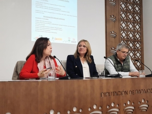 La Semana Cultural de Torre de Miguel Sesmero ofrece una muestra sobre la columna de los ocho mil y un mercado artesano