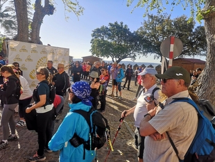Un total de 119 entidades reciben las ayudas para actividades deportivas sin fines de lucro de la Diputación de Badajoz