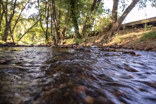 La CHG contrata la reparación de las pasarelas del río Gévora a su paso por La Codosera
