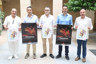 Siete artistas pacenses participarán en el Festival de Arte Flamenco de Mont-de-Marsan en Francia