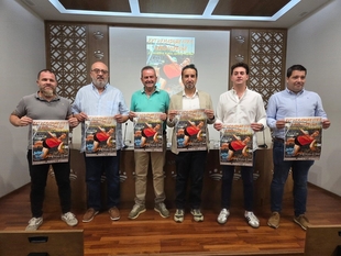 Un total de 78 equipos y 1.500 jugadores disputarán el Extremadura Open Alburquerque de balonmano playa