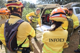 Activado el nivel 1 de peligrosidad por un incendio forestal en Monesterio