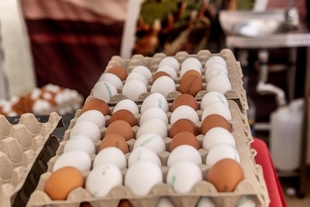 Hong Kong suspende las importaciones de carne y huevos procedentes de zonas como Badajoz ante casos de gripe aviar