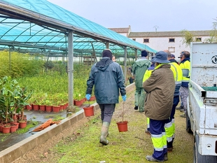 Comienza el reparto de arbolado a 147 ayuntamientos de la provincia de Cáceres