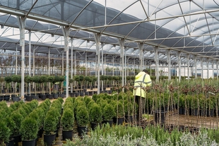 El Vivero Provincial culmina su campaña de invierno con 44.000 plantas suministradas y un ahorro de 750.000 euros para los