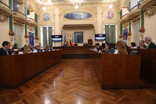 El pleno aprueba por unanimidad el nuevo paquete de medidas de apoyo a los municipios por valor de 68,6 millones