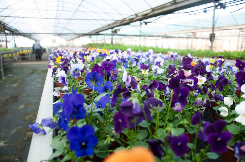 La Diputación de Cáceres impulsa un viaje técnico al País Vasco como modelo de gobernanza compartida