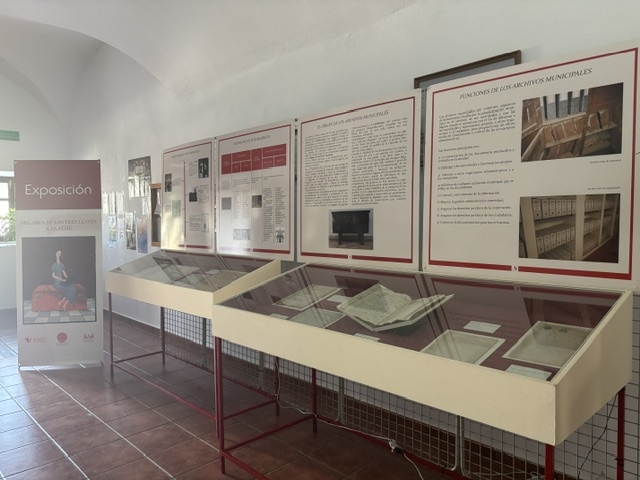 Expedientes sobre la extinción de una plaga de langosta o la subasta de huevos incautados, entre los documentos que exhibe la exposición 