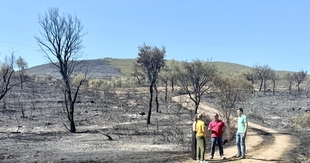 El presidente de la Diputación de Cáceres visita Casas de Millán y Mirabel tras el incendio y refuerza su apoyo para la recuperación de las zonas