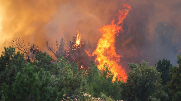 El Plan Infoex interviene esta semana en 15 incendios forestales que han quemado casi 120 hectáreas en Extremadura