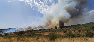 Un total de 150 efectivos han trabajado durante toda la noche en el incendio declarado en Sierra de Gata