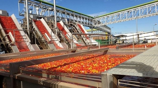 Publicadas en el DOE las propuestas provisionales de ayudas para inversiones a la trasformacin y comercializacin de productos agrcolas