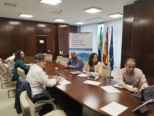 Extremadura analiza el impacto y ejecucin del Programa Operativo Fondo Social Europeo